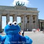 Photo of Teddy Tour Berlin