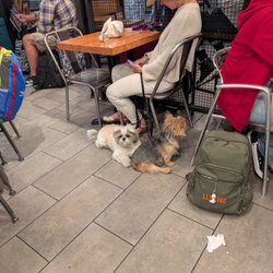 Sourced Market - Pets inside