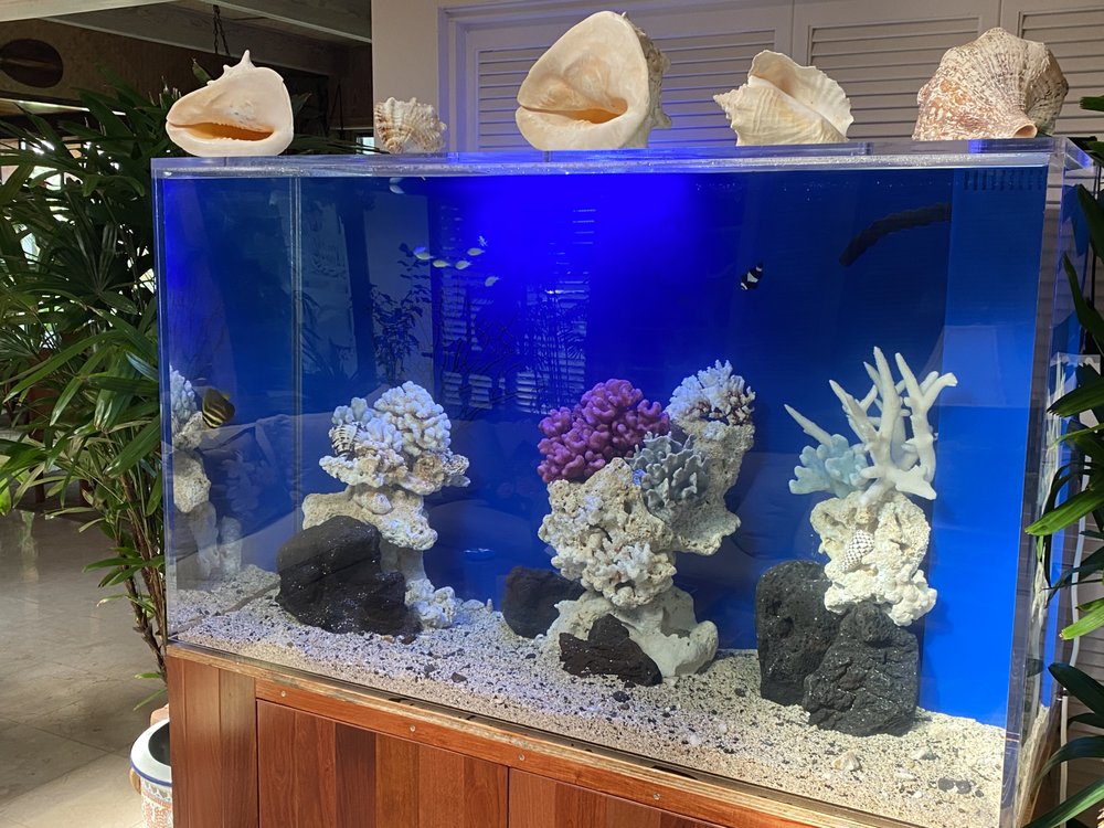 INDOOR OCEANS AQUARIUM SERVICE Honolulu, Hawaii Aquarium Services