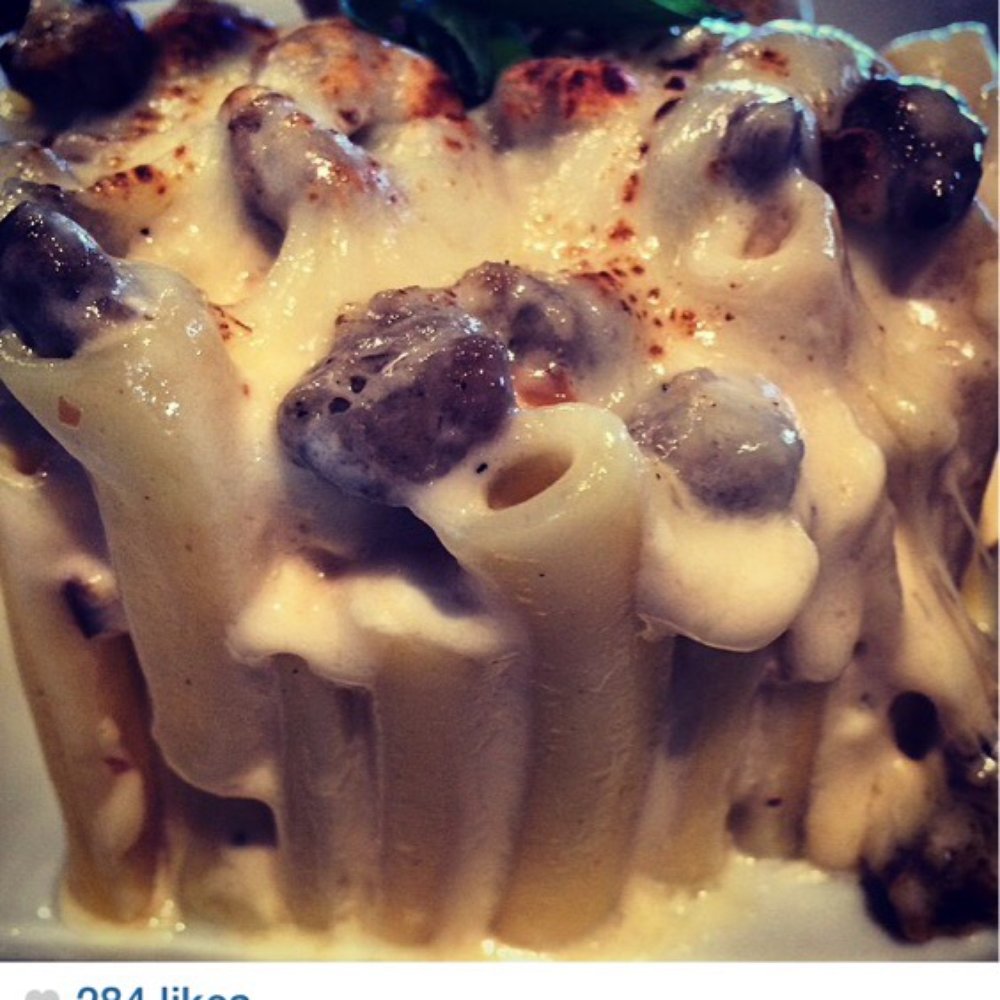 Two Bucks - Vertical Gouda Mac & Cheese. - Bars Near Me - Avon, Ohio Two Bucks - Vertical Gouda Mac & Cheese. - Bars Near Me - Avon, Ohio