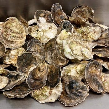 Castigliego's Seafood - a pile of oysters - Seafood Markets Near Me - Somerset, Massachusetts Castigliego's Seafood - a pile of oysters - Seafood Markets Near Me - Somerset, Massachusetts