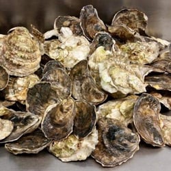 Castigliego's Seafood