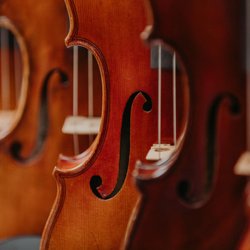 The Violin Shop in Lincoln