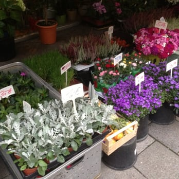 Blumen Ruf - Florists Near Me - Munich, BY