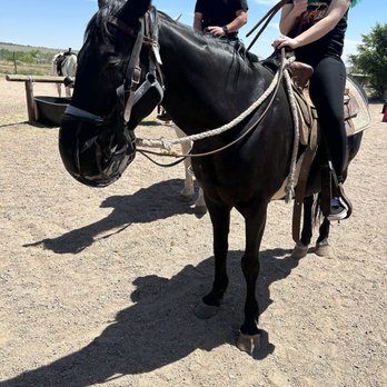 Bear Creek Stables - Winnie black horse with Gabby! - Horseback Riding Near Me - Morrison, Colorado