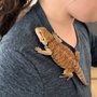 Photo of Parker Exotic Pets
