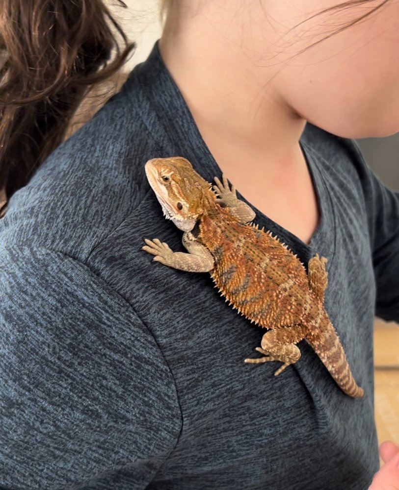 Parker Exotic Pets Image