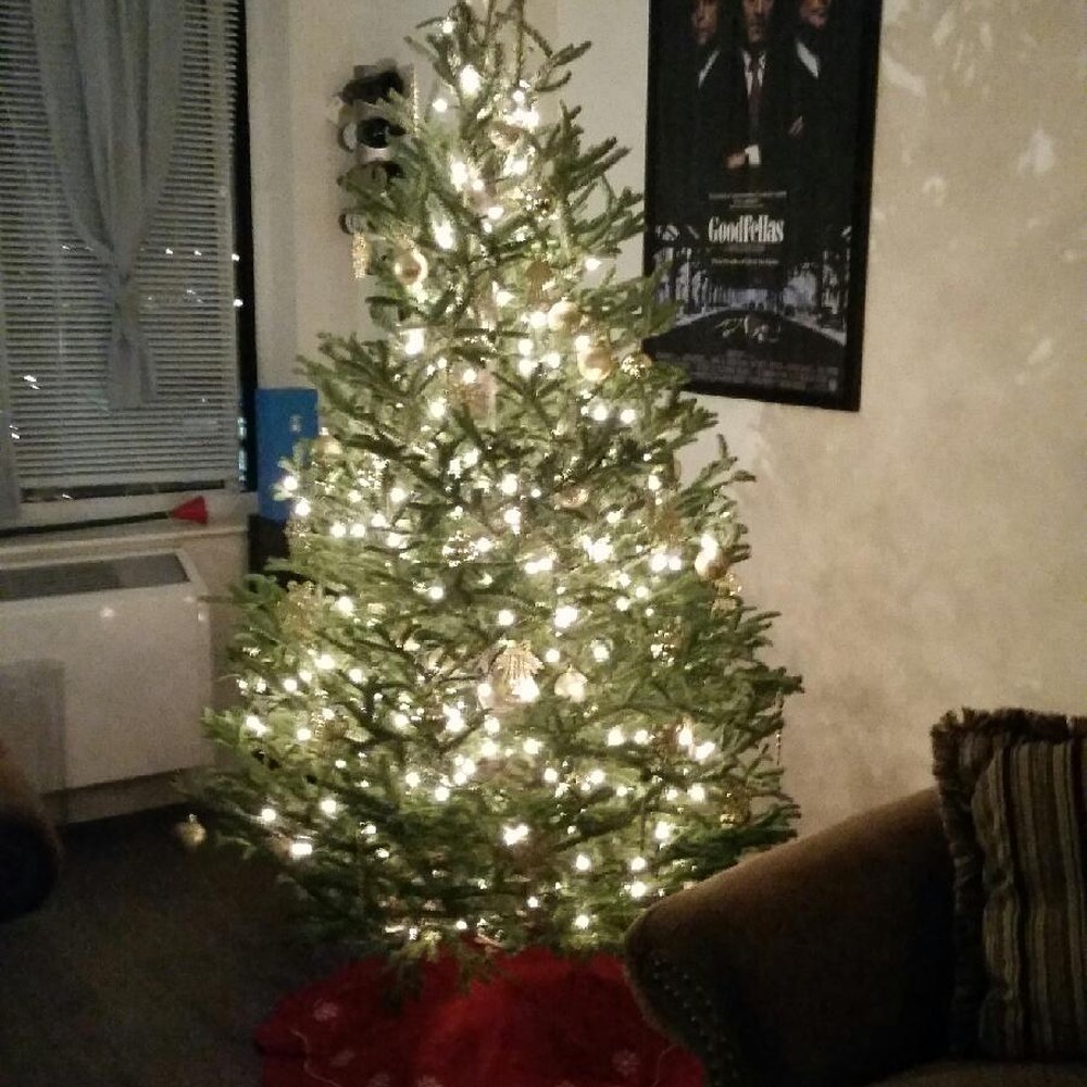 Love my tree,  just had It decorated and the tree doctor. . Gabriella was the best. She took her time and we're very happy! !