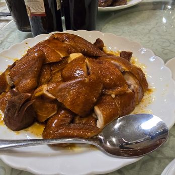 Hong Kong Palace - Dim Sum Near Me - Millbrae, California Hong Kong Palace - Dim Sum Near Me - Millbrae, California