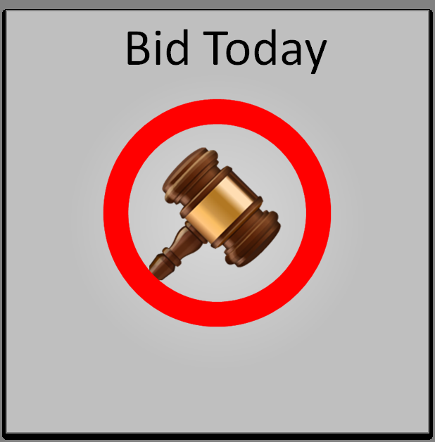 CAPITAL AUTO AUCTIONS Updated October 2024 190 Londonderry Tpke