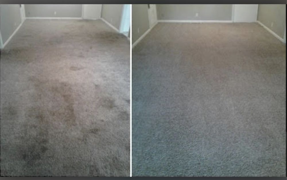 MERIT CLEANING SERVICES Baltimore, Maryland Home Cleaning Phone