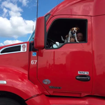 Quality Repair Service - Commercial Truck Repair Near Me - Lawrenceville, Georgia Quality Repair Service - Commercial Truck Repair Near Me - Lawrenceville, Georgia