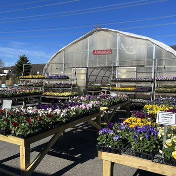 Rosedale Nurseries - Nurseries & Gardening Near Me - Hawthorne, New York