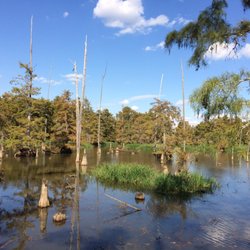 Noxubee National Wildlife Refuge - Great views across Bluff Lake from the boardwalks