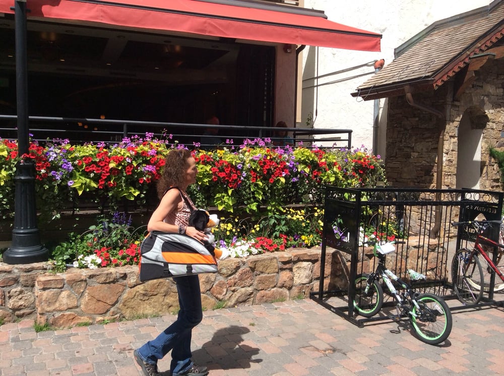 The Pet Boutique of Vail