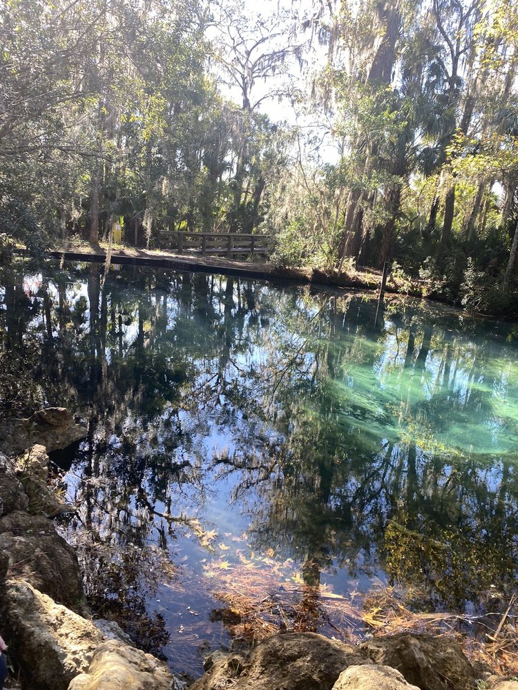 WELAKA STATE PARK MUD SPRINGS Updated August 2024 10 Photos