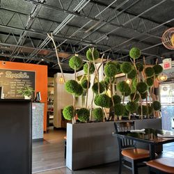 Joy Noodles & Rice - Cool Interior