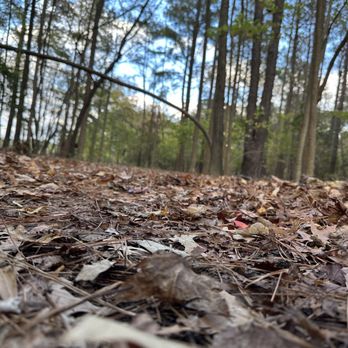Sandy Bottom Nature Park - Parks Near Me - Hampton, Virginia Sandy Bottom Nature Park - Parks Near Me - Hampton, Virginia