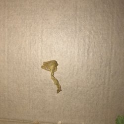 McDonald's - Old lettuce