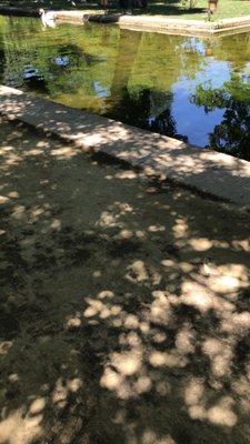 Parque de María Luisa by null