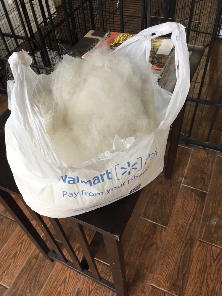 RUFF 2 FLUFF DOG GROOMING Updated September 2024 12 Photos 3307