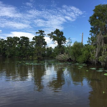 Ultimate Swamp Adventures - Beautiful bayou - Tours Near Me - Westwego, Louisiana Ultimate Swamp Adventures - Beautiful bayou - Tours Near Me - Westwego, Louisiana