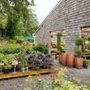 7 Dees - Seaside Garden Center