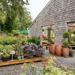 7 Dees - Seaside Garden Center