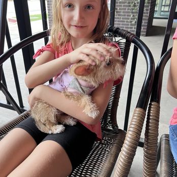 Greg's Kitchen & Taphouse - Dog friendly! Hosted dog adoption event. - American Near Me - Denver, Colorado