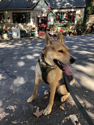 Mary's Market by null