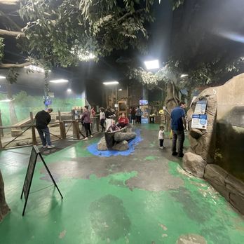 SeaQuest - Folsom - No too many people on a Thursday morning. - Aquariums Near Me - Folsom, California SeaQuest - Folsom - No too many people on a Thursday morning. - Aquariums Near Me - Folsom, California