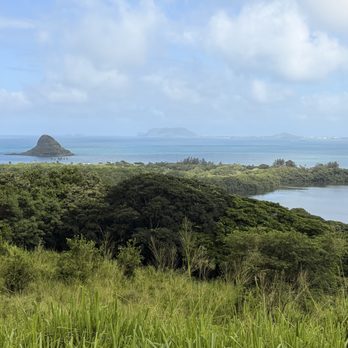 Kualoa Ranch - Tours Near Me - Kaneohe, Hawaii Kualoa Ranch - Tours Near Me - Kaneohe, Hawaii