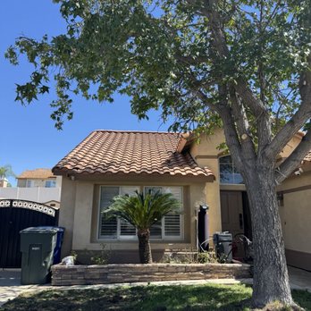 M&R Services - Roses, palm tree was aggressive trimmed, tree branches were fully removed without discussing with me. - Junk Removal & Hauling Near Me - Hemet, California
