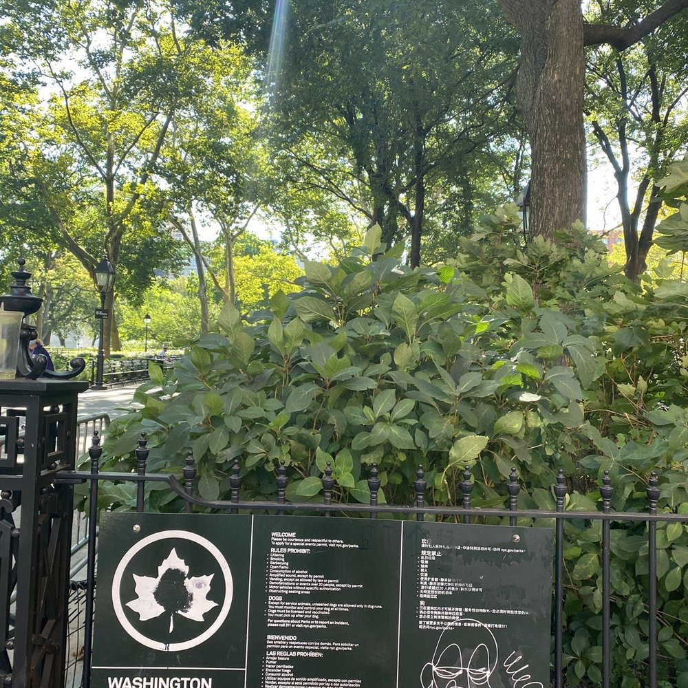 Washington Square Park - Parks Near Me - New York, New York Washington Square Park - Parks Near Me - New York, New York