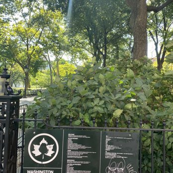 Washington Square Park - Parks Near Me - New York, New York Washington Square Park - Parks Near Me - New York, New York