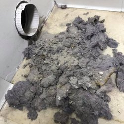 Hall's Carpet Care - Dryer Vent Cleaning