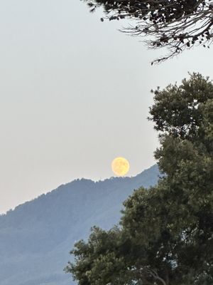 Mezzatorre Hotel & Thermal Spa by null