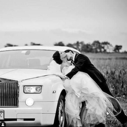 Donna Morello Wedding Gowns