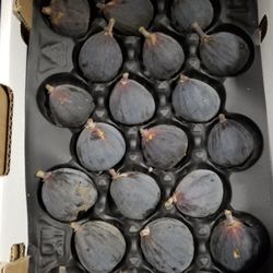 Cuco’s Best Produce - Figs