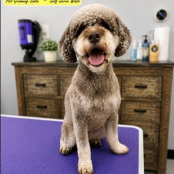 Mandy's Dog-O-Mat - Dog Grooming