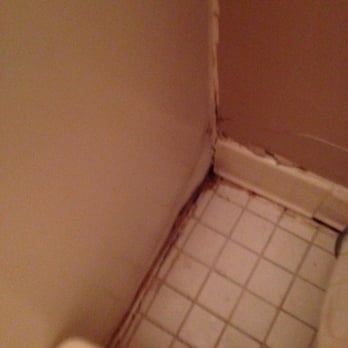 Sea Watch Condominium - Mold in bathroom - Vacation Rentals Near Me - Ocean City, Maryland Sea Watch Condominium - Mold in bathroom - Vacation Rentals Near Me - Ocean City, Maryland