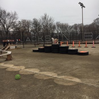Jackson Bark - Made it to the top after watching a smart border terrier! - Dog Parks Near Me - Chicago, Illinois