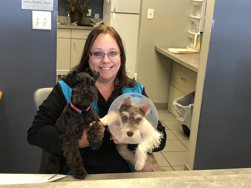 5 CORNERS ANIMAL HOSPITAL 34 Photos 2799 Southwestern Blvd, Orchard