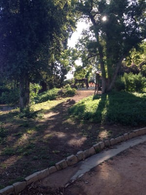 Prospect Park by null
