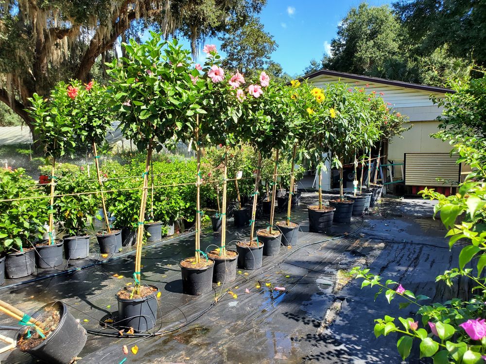 ZEPHYR LAKE TREE FARM Updated August 2024 15 Photos 2605 Cooke Dr