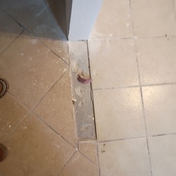 Above All Quality - Handyman Near Me - Albuquerque, New Mexico