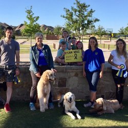Cave Canis Kennels
