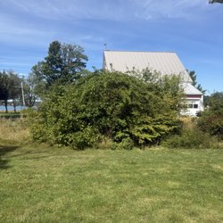 Altitude Arborist