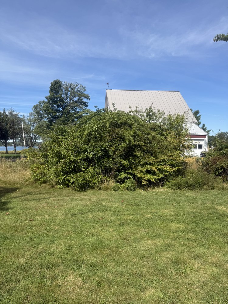 Altitude Arborist - tree service in Sullivan , ME