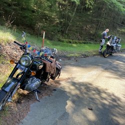 Cook Forest State Park
